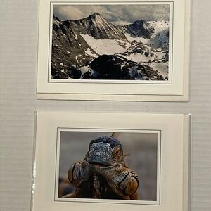 02 SET OF 12 Nature Photo Cards: elk, iguana, bird, desert arch, mountain snow